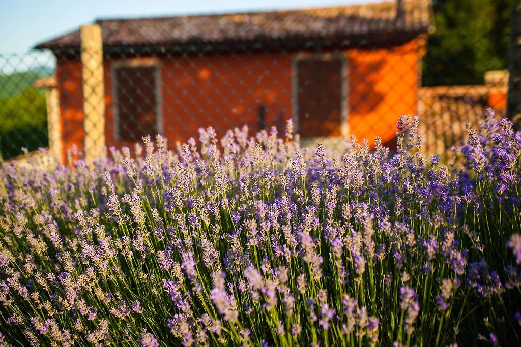 Farm Stay Agriturismo La Luna Santa Sofia 0*,