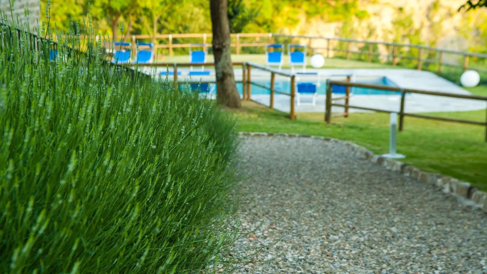 Farm Stay Agriturismo La Luna Santa Sofia